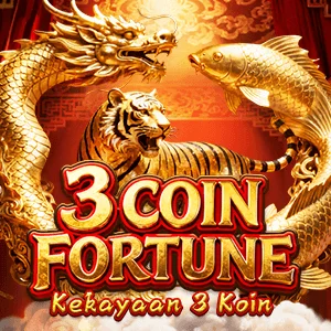 3 COIN FORTUNE
